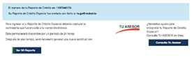 Reporte Crédito Especial PDF